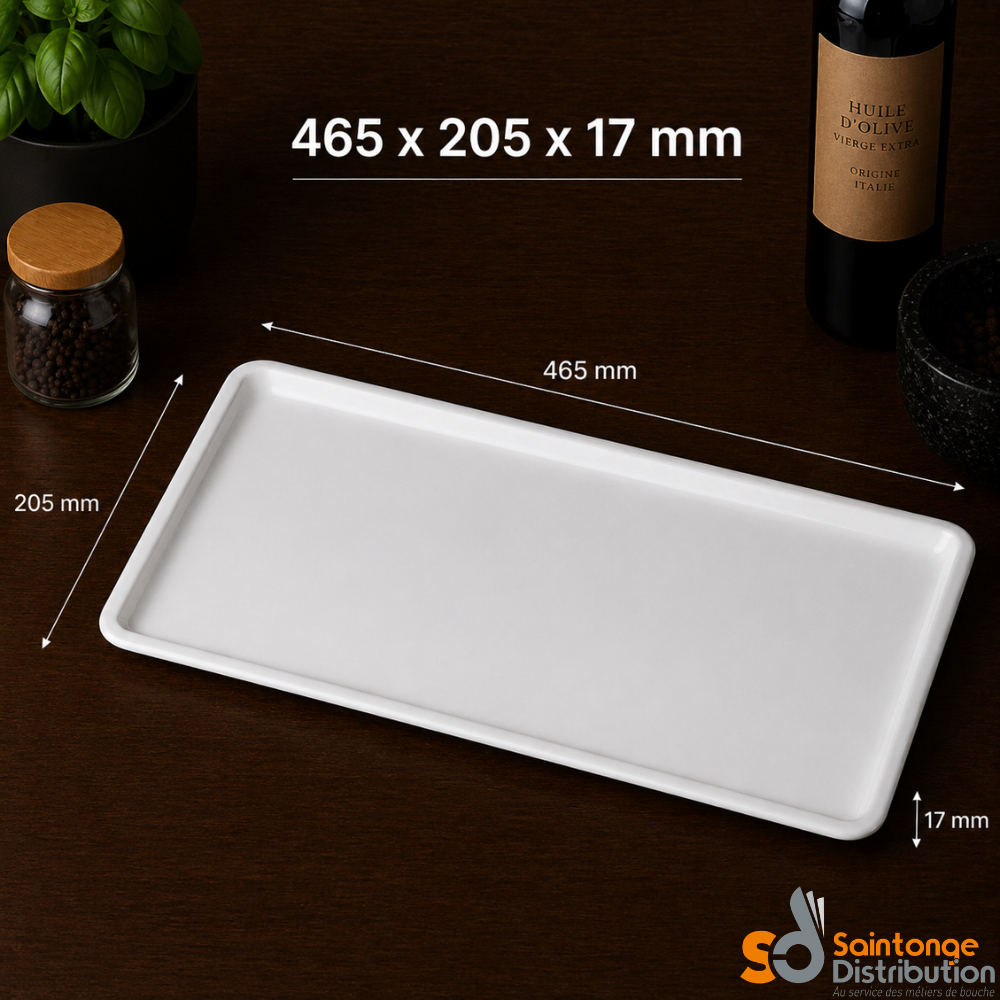 Saintonge Matériel Plat Glacière Blanc PMMA 46,5x20,5cm