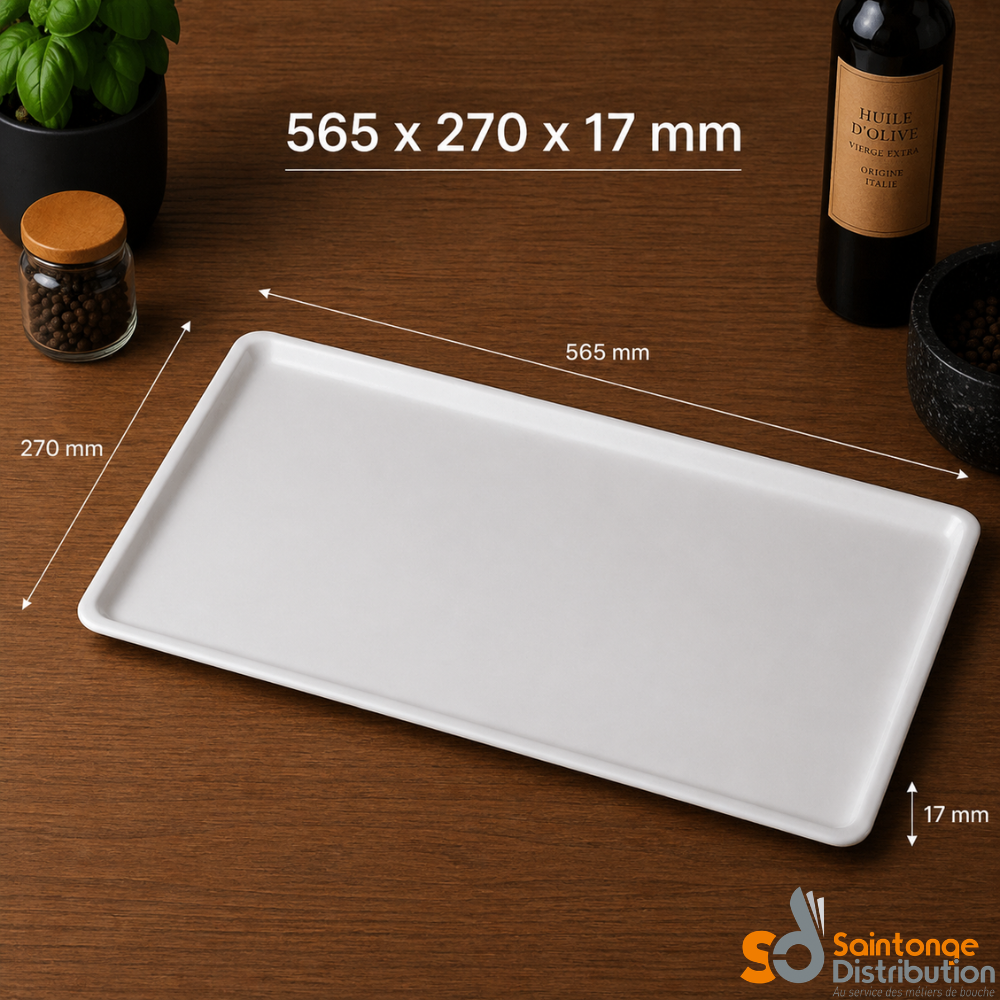 Saintonge Plat glacière blanc PMMA 56,5x27cm