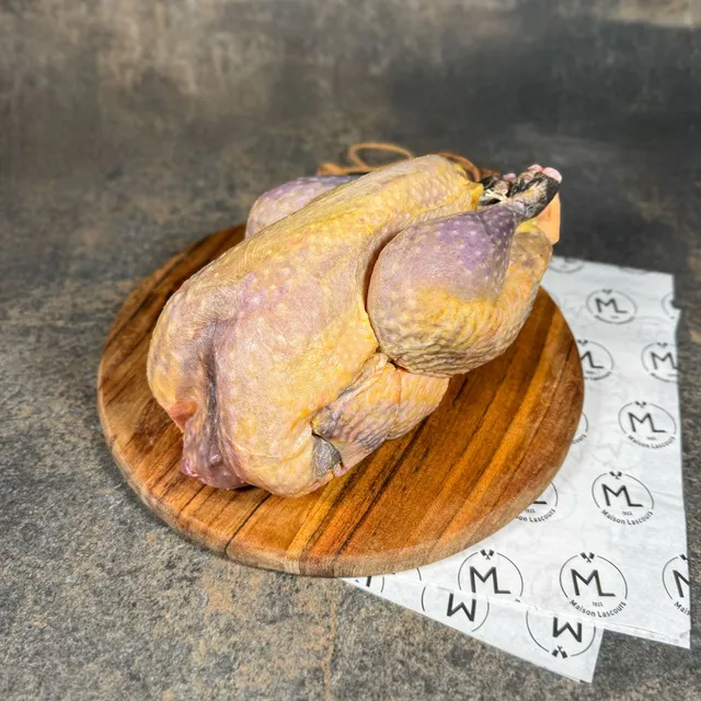 Maison Lascours Volailles Pintade Fermière volaille 1,4 kg à rôtir