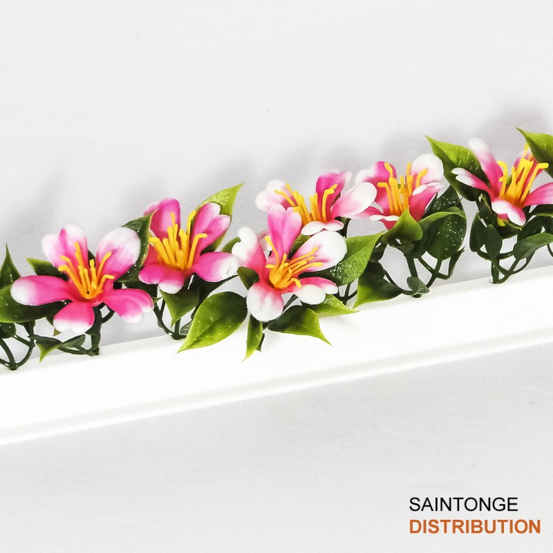 Saintonge Consommables Barrette Séparatrice Vitrine 25 cm