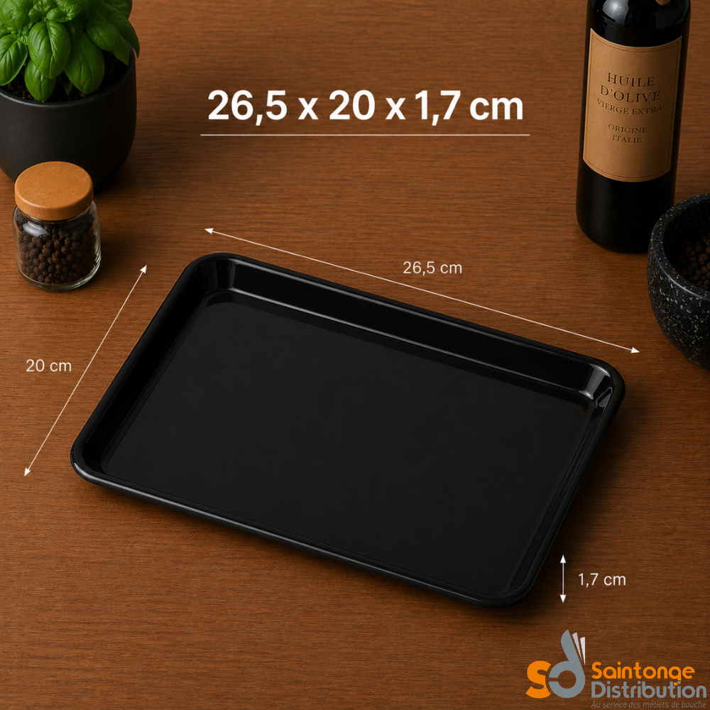 Saintonge Matériel Plat glacière noir 26,5x20 cm plateau PMMA