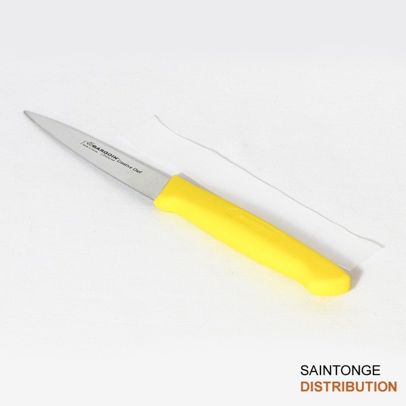 Fischer Bargoin Couteau office 10 cm inox éplucher