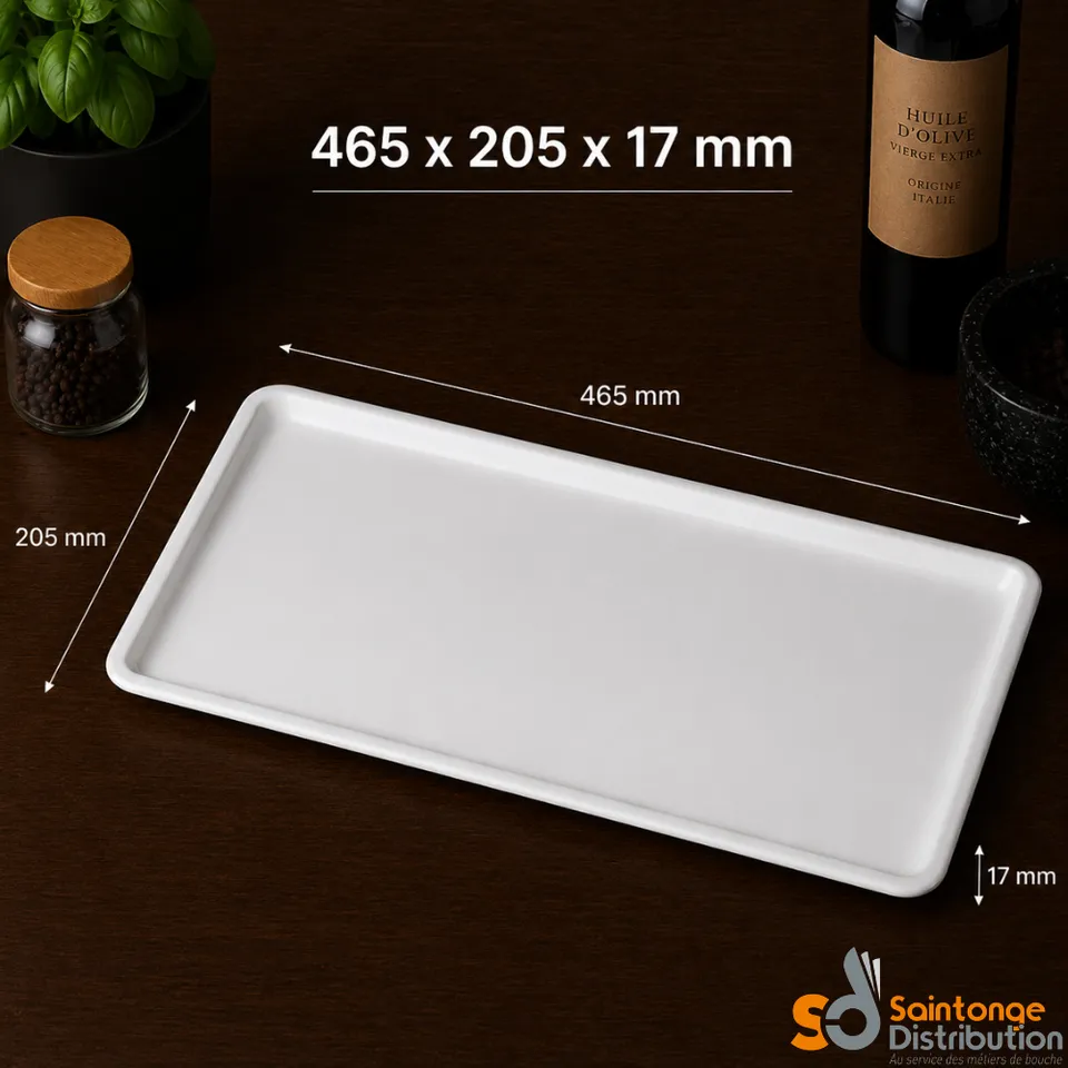 Saintonge Matériel Plat Glacière Blanc PMMA 46,5x20,5cm