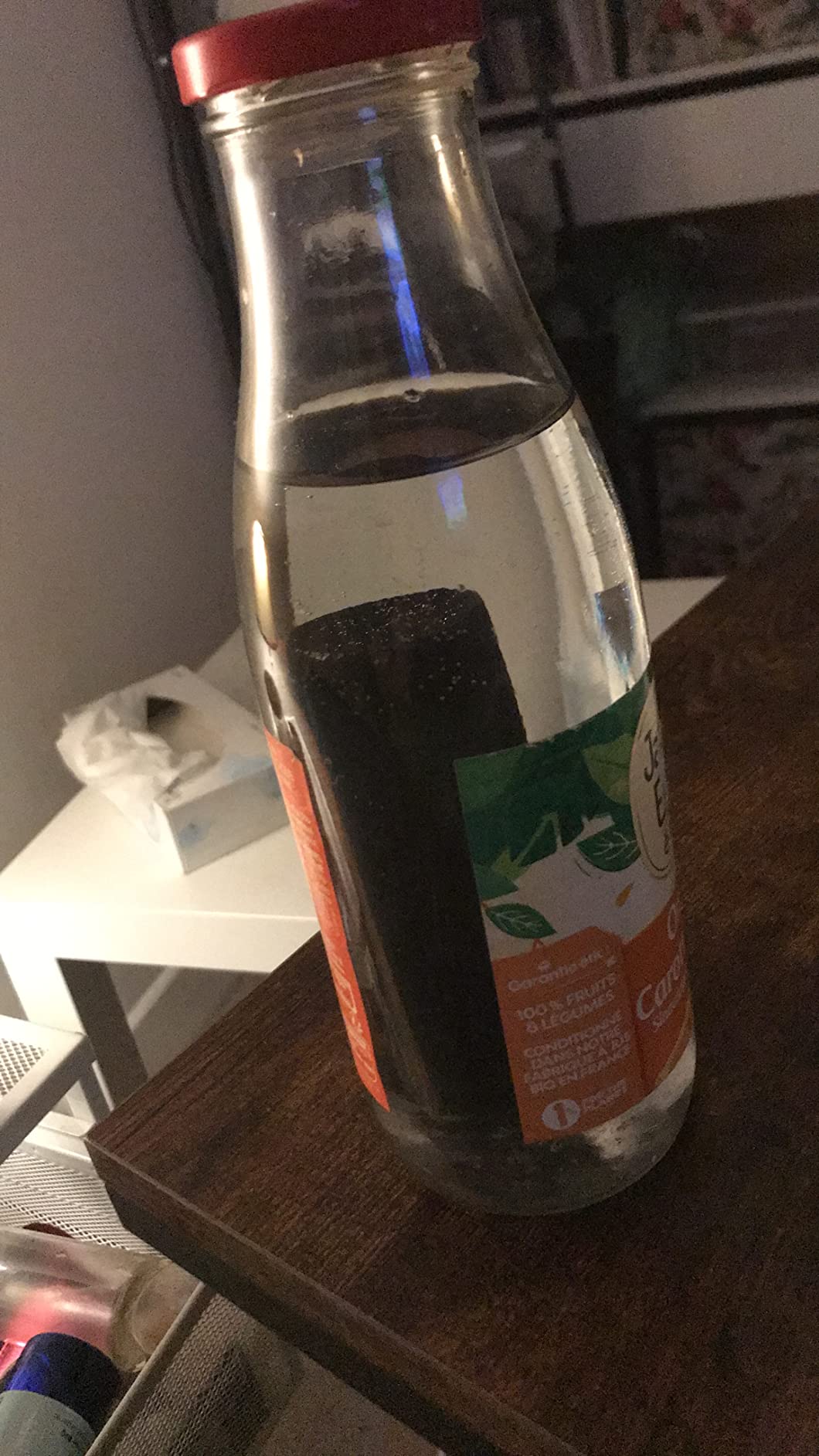 Umami Paris Binchotan gros bâton eau filtrante