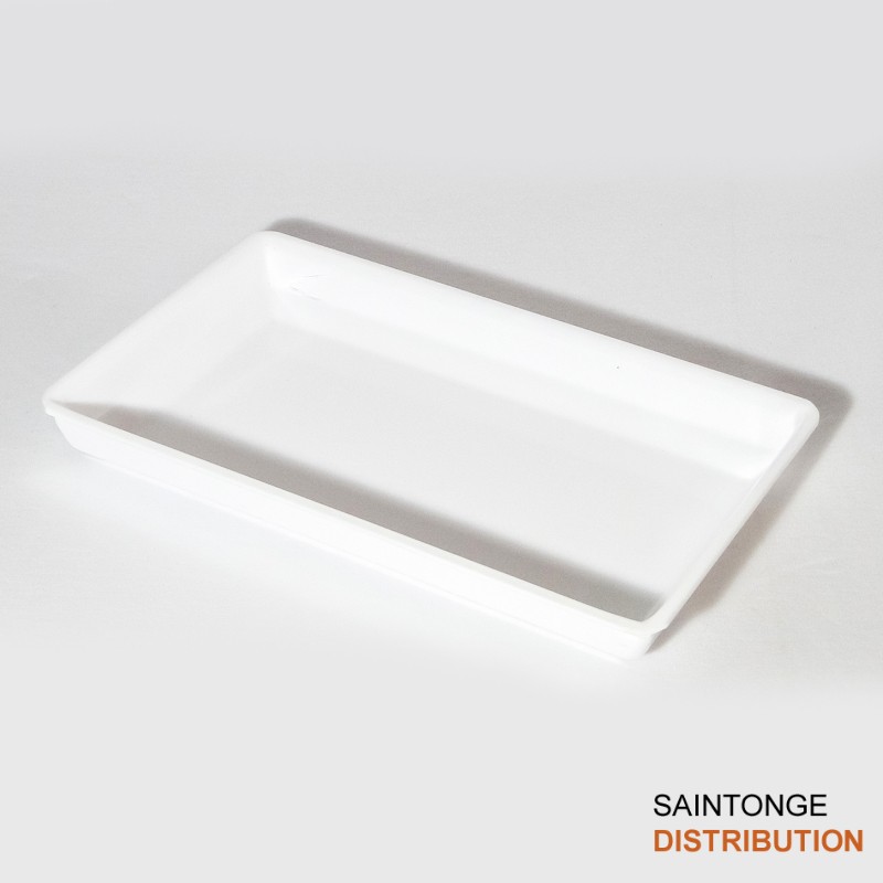 Saintonge Distribution Plat Ravier Blanc 31x18,5x4 cm PMMA