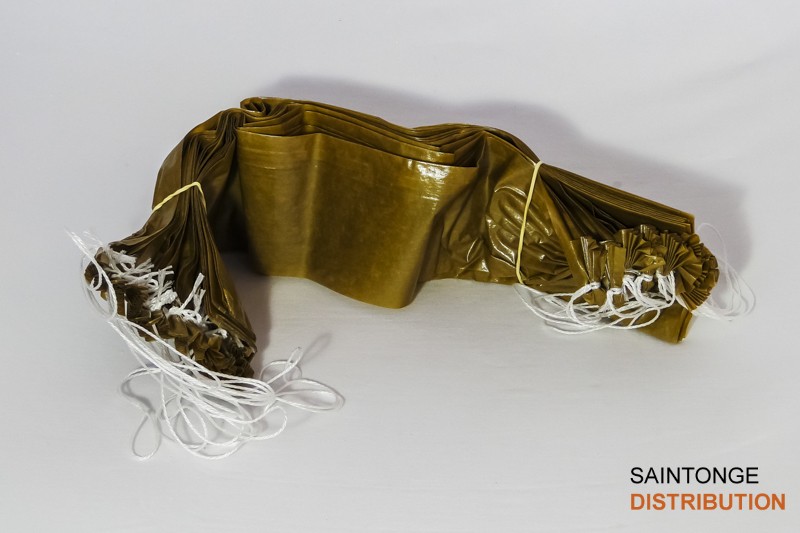 Saintonge Boyaux NALO 58 fumé boyau artificiel 25 bouts