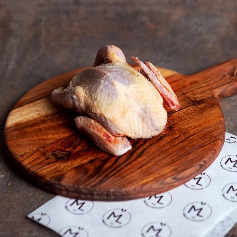Maison Lascours Volailles pigeon 400g