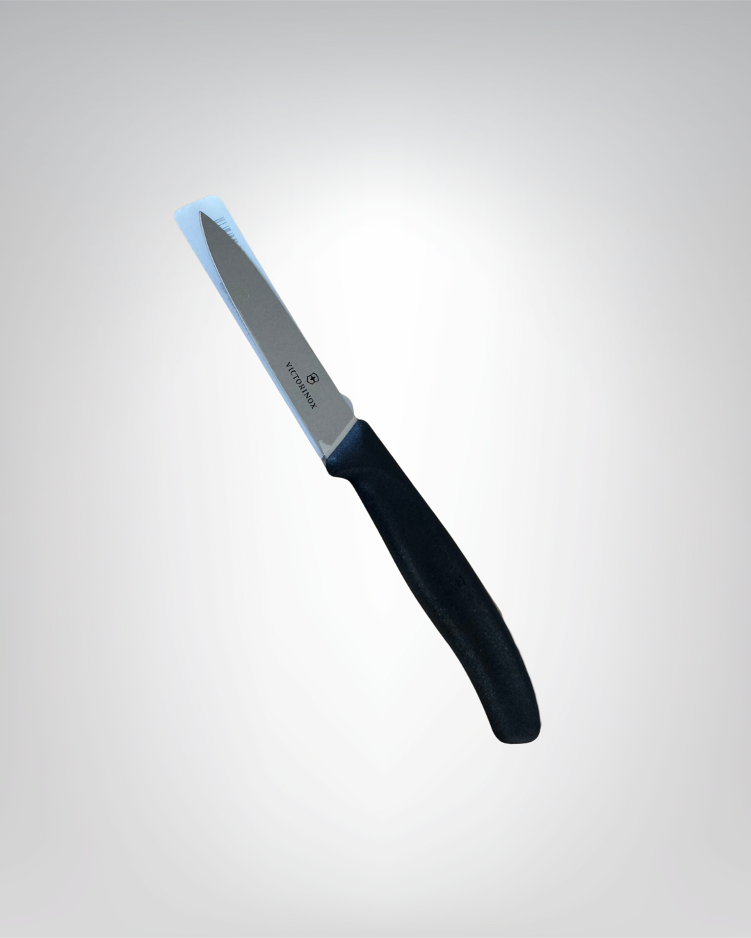 Victorinox Office couteau cuisine 8cm ou 10cm inox