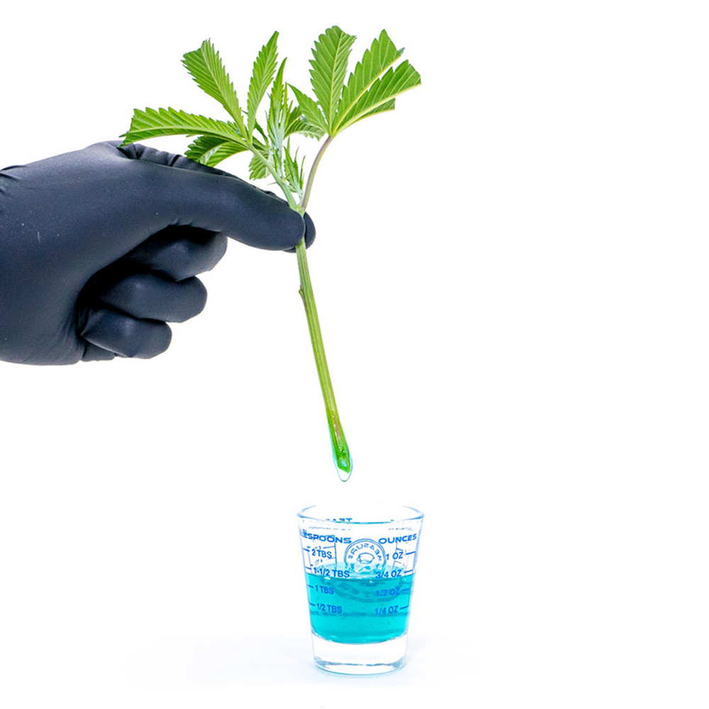 Athena Cuts gel de bouturage pour boutures