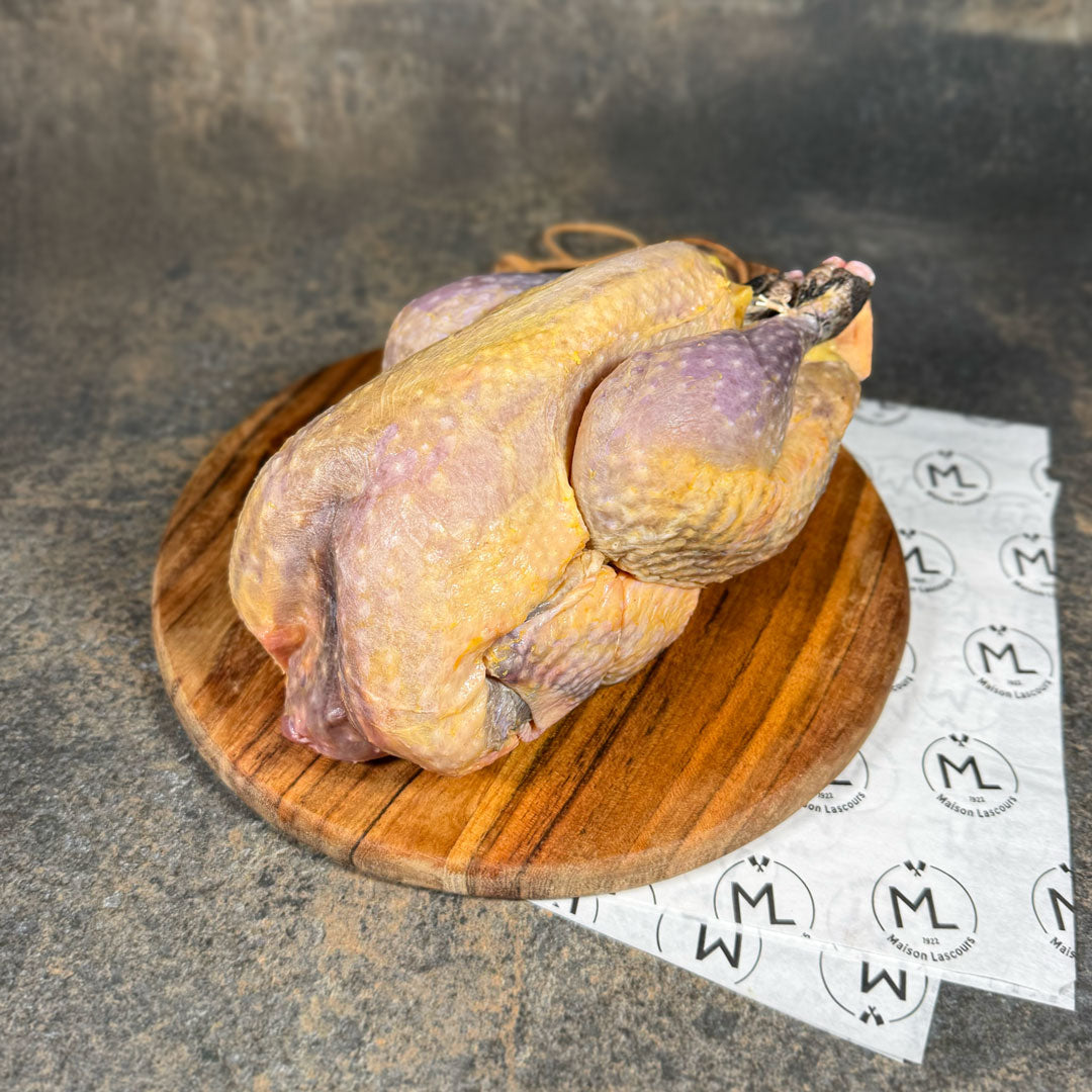 Maison Lascours Volailles Pintade Fermière volaille 1,4 kg à rôtir