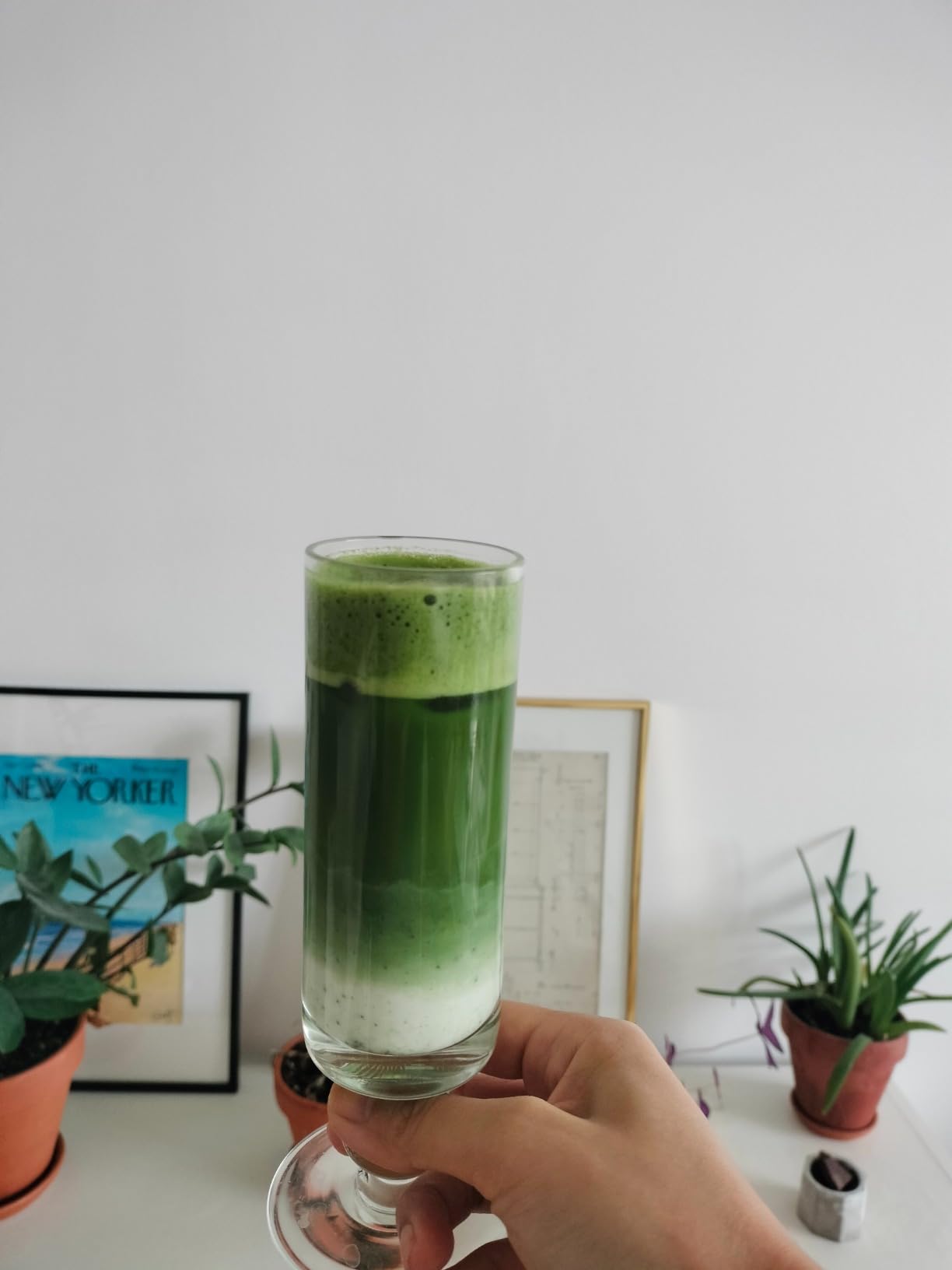 Umami Paris Matcha bio Uji thé vert 100 g